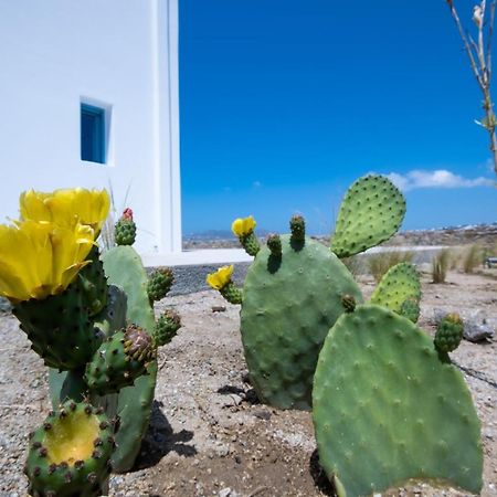 Lilly Villa By Bestofmikonos Ornos  Extérieur photo
