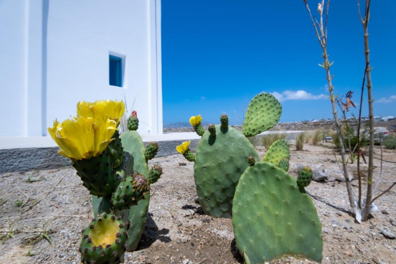 Lilly Villa By Bestofmikonos Ornos  Extérieur photo
